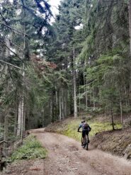 Salita nel bosco del Poignon