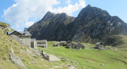 Alpi Selle