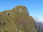 Vetta con bacche rosse autunnali in primo piano