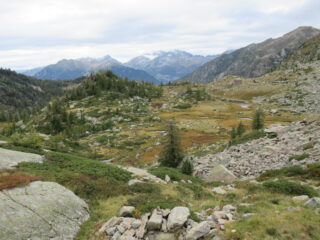 Discesa dal Colle Chardon.