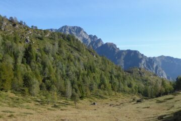Appare la Torre d'Ovarda