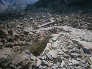 un tratto della bella mulattiera reale