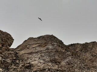 Dove osano le aquile ….. Quando di umano non c’è più molto