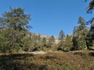 Salendo verso Alpe Forno