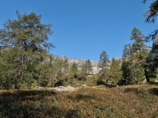 Salendo verso Alpe Forno