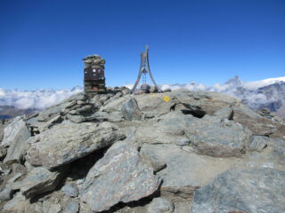 Testa Grigia (m.3314).