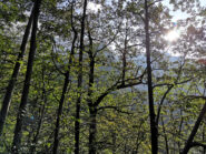 Roveri che non sanno bene cosa sia la 