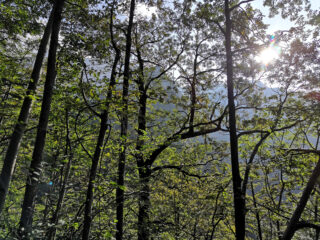 Roveri che non sanno bene cosa sia la 