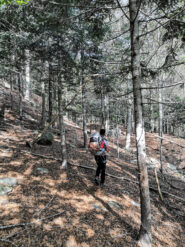 Nelle faggete dopo il guado del Rio Fiorina, ci avviciniamo a In La Piana.