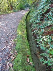 Lungo il primo tratto di Gorgomoro