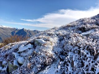ricami a Punta di Attia