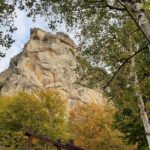 Biglietto da visita Placche Gialle