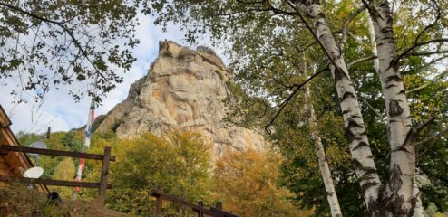 Biglietto da visita Placche Gialle
