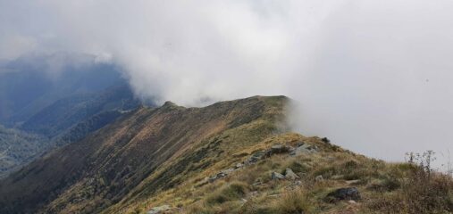 dalla cima del Bonom