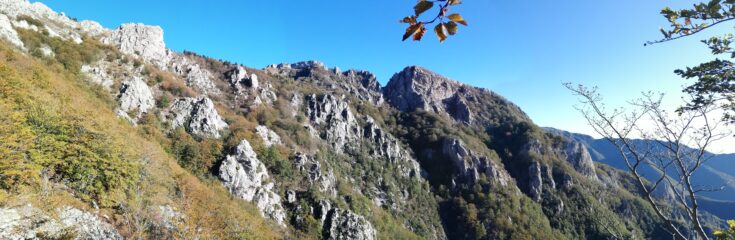 nel vallone