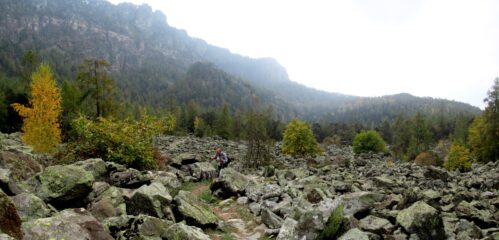 Pietraia