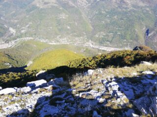 ormea