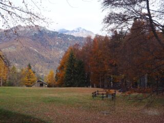 Pian Coumarial.