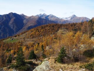 In discesa, con le Dame di Challand e il Mont Nery sullo sfondo.