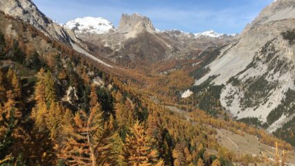 Autunno 
