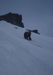Sulla parte nmediana della parete.