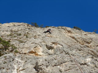 Riccardo su An papin as na gamba ad bousch 5B Bello