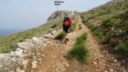 Passato la sella si continua verso il M.Monaco.