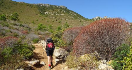  Si sale il sentiero  sentiero tra la macchia mediterranea.