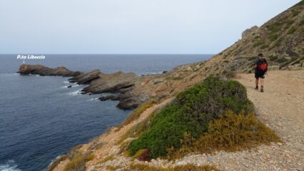 Dal faro scendiamo alla P.ta Libeccio.