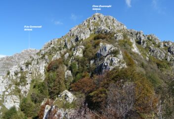 Sul primo tratto fuori dal bosco verso cima Quarenghi.