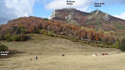 I bei prati che scendono verso il Passo Guil 1209mt.