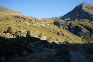 Poco prima di iniziare la salita verso Alpe Palasina. Si vede rifugio Arp e sulla destra Punta Valfredda
