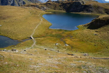 Pascolo tra Lago Verde a sinistra e Lago della Battaglia a destra