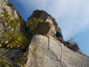 sula torre del bimbo ..