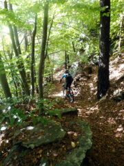 verso Faure