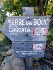 indicazioni abbondanti