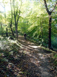 i fitti boschi che caratterizzano buona parte del percorso
