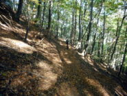 sul P.O. verso Bedale Paglieres 
