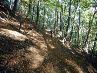 sul P.O. verso Bedale Paglieres 