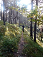in zona col Teje