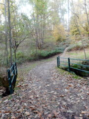 fine trail