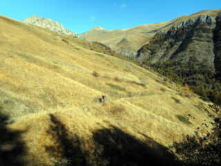 la bella sterrata che sale verso il colle