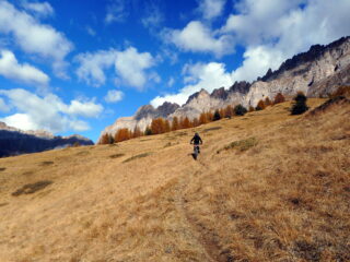 alle spalle la dolomitica Cordiera