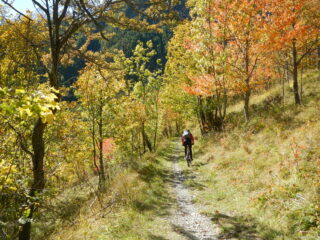 Da Desertes verso Col Gris