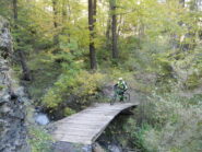 bel sentiero ciclabile