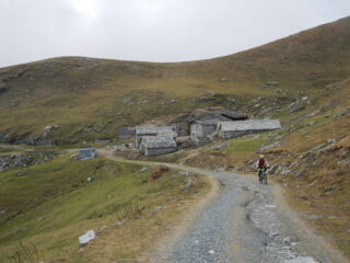 l'Alpe Coassolo 2032 m.