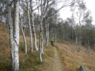 discesa dal Colle Forchetta sul sentiero  3 R