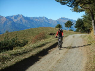 sullo sfondo la dorsale alpina che divide la Val di Susa dalla Val Chisone