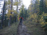 sentiero divertente.....