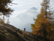 dorsale panoramica